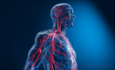 Сосудистая хирургия 