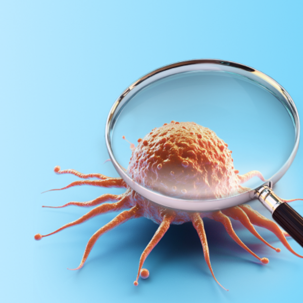 Комплекс КТ "Онкопоиск с внутривенным усилением у женщин (КТ)"