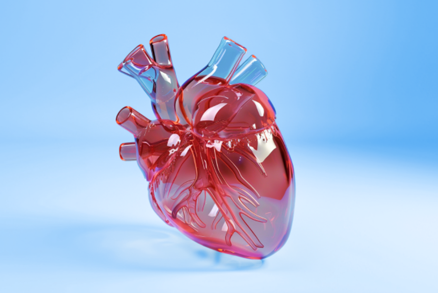 Комплекс УЗИ "СЕРДЦЕ СТРЕЙН +"