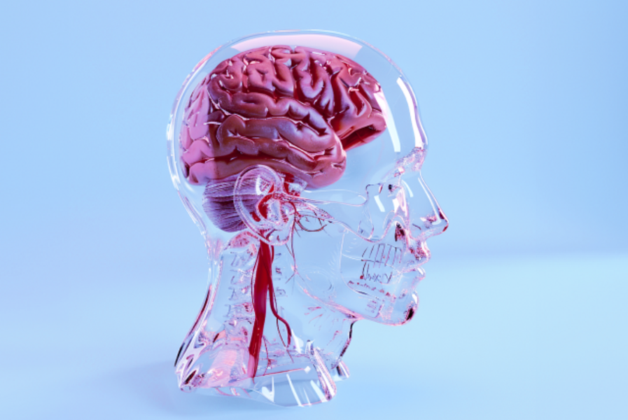 Комплекс МРТ "Полная диагностика рассеянного склероза"